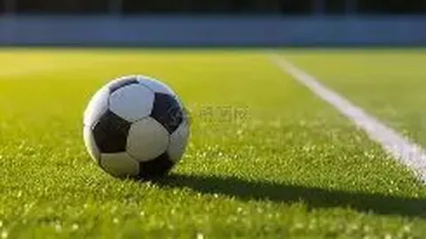 黄小蕾透露曾努力追求大张伟，专攻英语提升自己