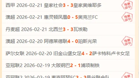 “尔滨助力新疆打造冰雪奇境之旅评论”