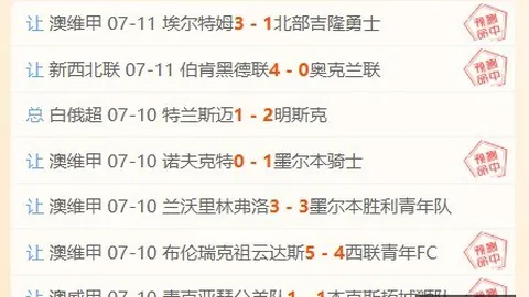 欧博 110216 49